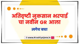 Ativrushti Nuksan Bharpai GR 2023 Maharashtra