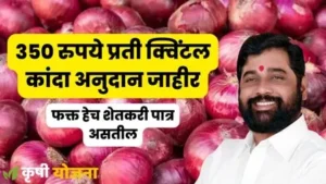 Kanda Anudan Yojana Maharashtra 2023