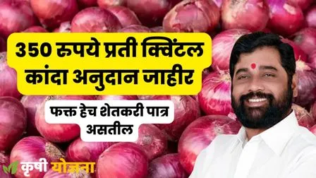 Kanda Anudan Yojana Maharashtra 2023