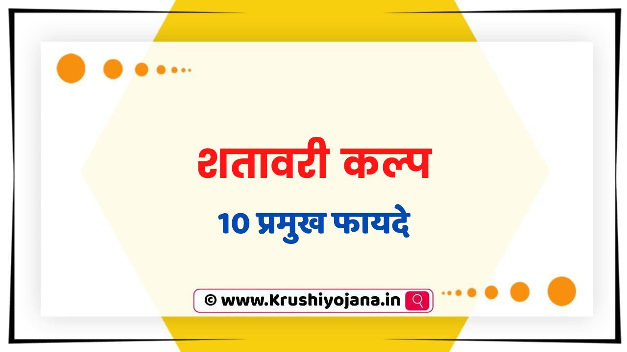 Shatavari Kalpa Benefits in Marathi
