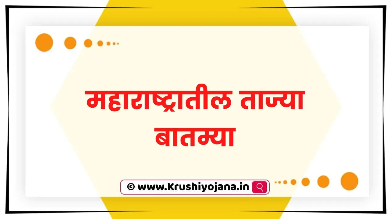 Maharashtra News in Marathi
