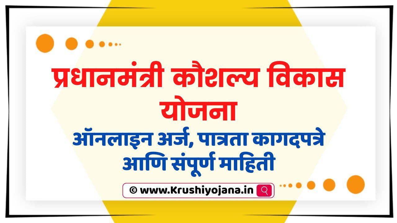 प्रधानमंत्री कौशल्य विकास योजना