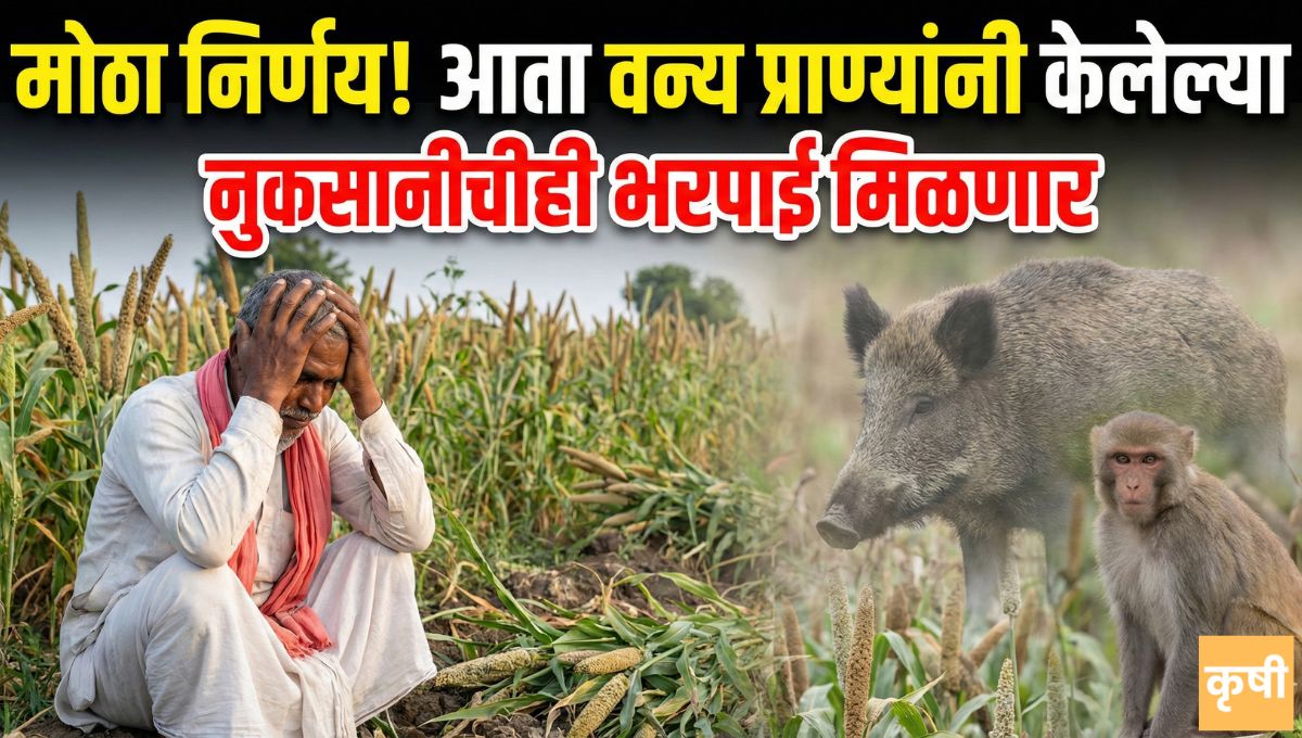 Crop Insurance 2026 News