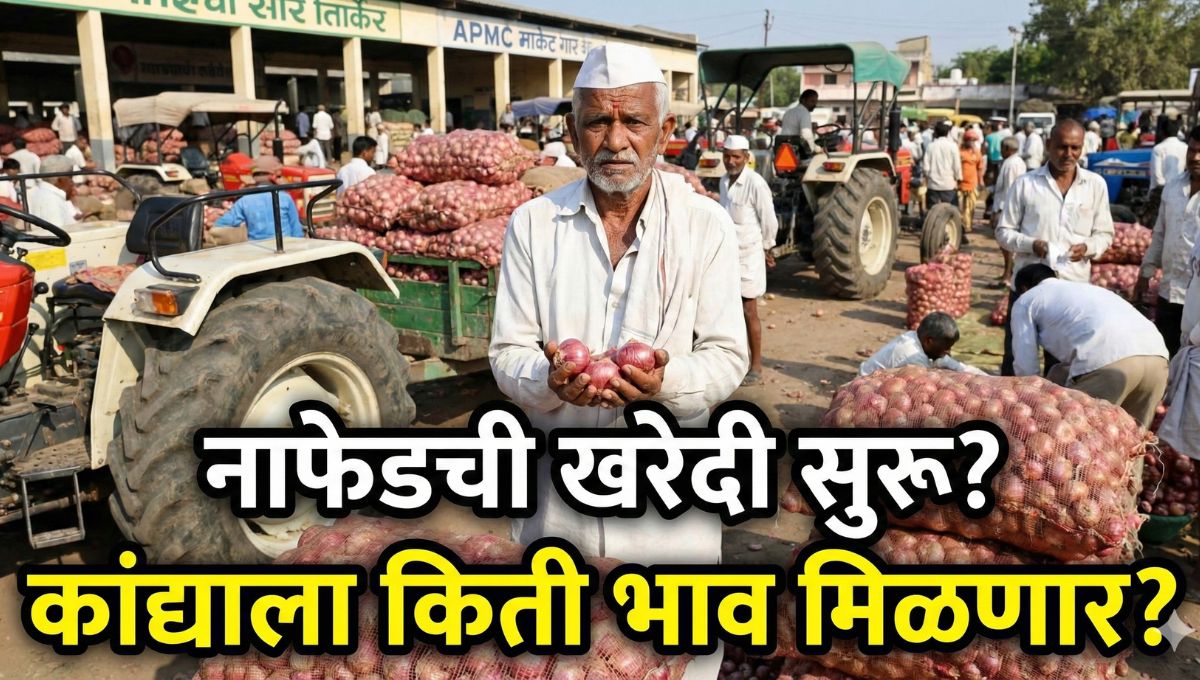 Kanda Bajarbhav today